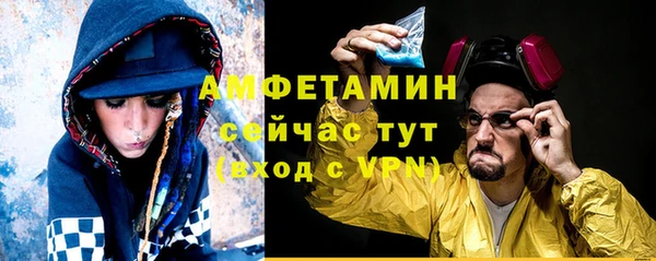сатива Горняк